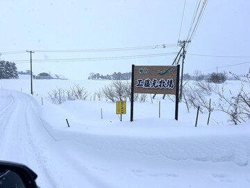 工藤牧場(稚内市)-top