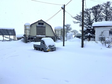 工藤牧場(稚内市)-2