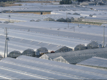 株式会社ウララファーム-4