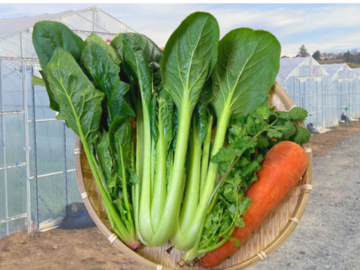 株式会社ウララファーム-5