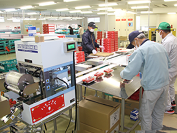 佐賀県伊万里市 園芸団地運営協議会 農業研修生募集-4