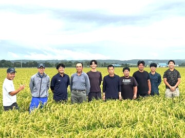 有限会社ほなみ-top