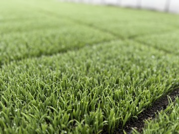 有限会社ほなみ-2