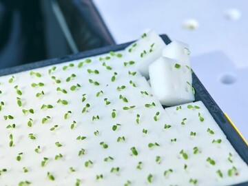 パーソルエクセルアソシエイツ株式会社【配送】-2