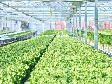 パーソルエクセルアソシエイツ株式会社【配送】-3