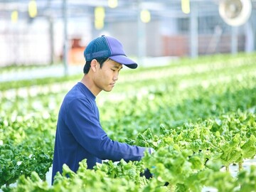 パーソルエクセルアソシエイツ株式会社【配送】-4