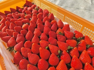 株式会社グリーンファーム-5