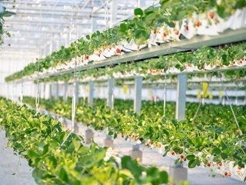 株式会社グリーンファーム-6