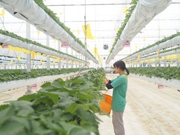 株式会社グリーンファーム-3