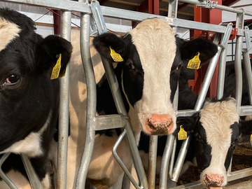 株式会社根本牧場-4