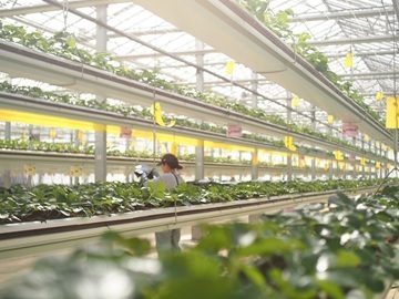 株式会社グリーンファーム-8