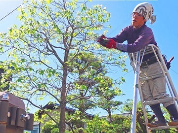 百瀬伐採造園株式会社-top