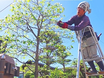 百瀬伐採造園株式会社