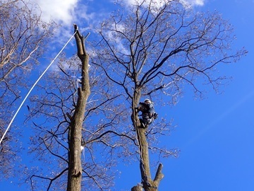 百瀬伐採造園株式会社-2