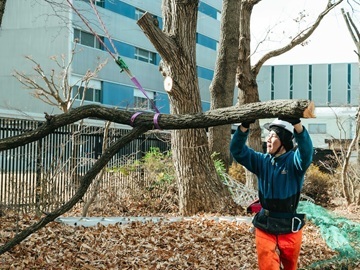 百瀬伐採造園株式会社-5