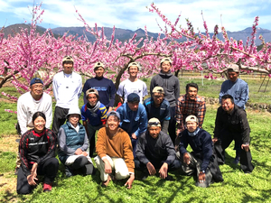 有限会社山梨フルーツライン-top