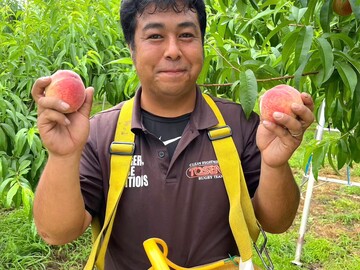 有限会社山梨フルーツライン-7