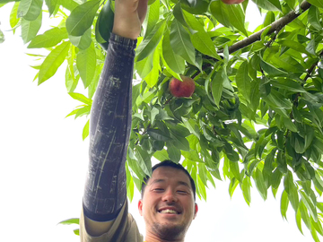 有限会社山梨フルーツライン-8