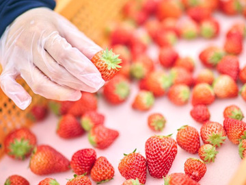 パーソルエクセルアソシエイツ株式会社【生産管理】-1