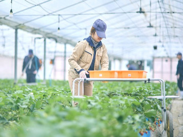 パーソルエクセルアソシエイツ株式会社【生産管理】-2