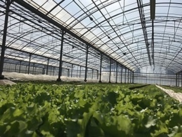 株式会社水戸菜園-1