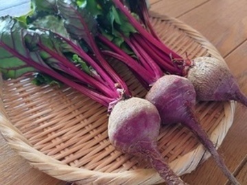 株式会社水戸菜園-3