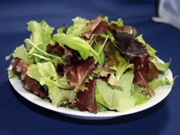 株式会社水戸菜園-4