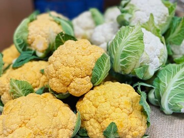 ランドマークファーム-3