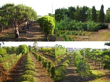 ガーデンテック株式会社-5