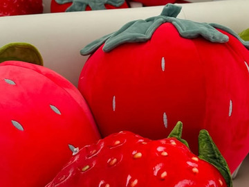 株式会社Lien du coeur Fermier(いちご農園フェルミエ)-4