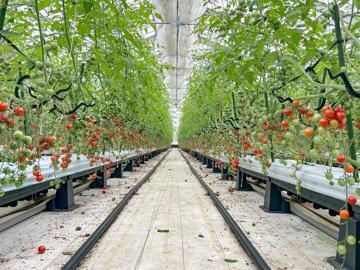 萩アグリ株式会社-1