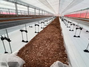 株式会社Lien du coeur Fermier(いちご農園フェルミエ)-8