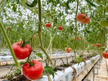 萩アグリ株式会社-6