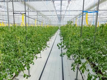 萩アグリ株式会社-8