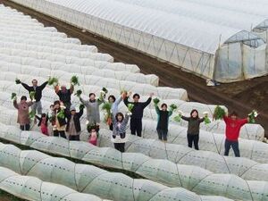 愛情野菜専業農家ヤマヨシ-top