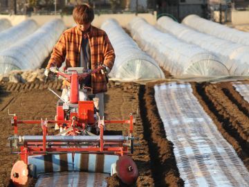 愛情野菜専業農家ヤマヨシ-1