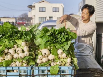 愛情野菜専業農家ヤマヨシ-4