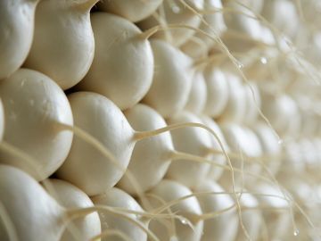 愛情野菜専業農家ヤマヨシ-7