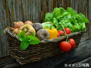 新潟県阿賀野市×稲作・野菜/法人【42770】-1