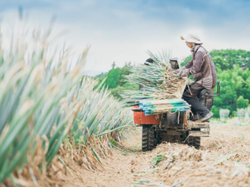有限会社M&Aふぁーむ・わたなべ-4