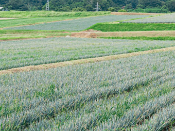 有限会社M&Aふぁーむ・わたなべ-2