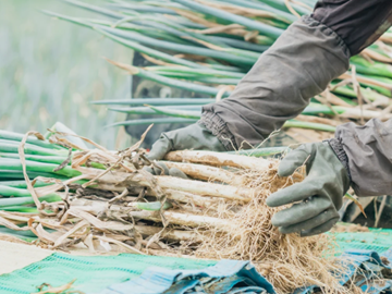 有限会社M&Aふぁーむ・わたなべ-5