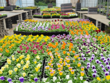 玉城園芸株式会社-top