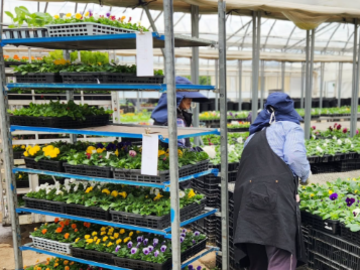 玉城園芸株式会社-3