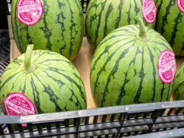 玉城園芸株式会社-6