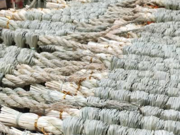 玉城園芸株式会社-7