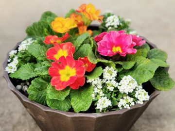 玉城園芸株式会社-8