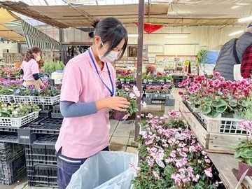 農マル園芸 吉備路農園/あかいわ農園-7