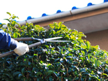 株式会社市川造園-1