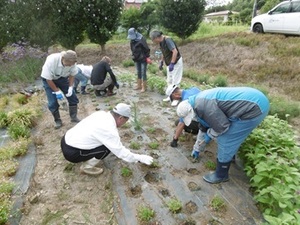 有限会社ドリファー花泉-top